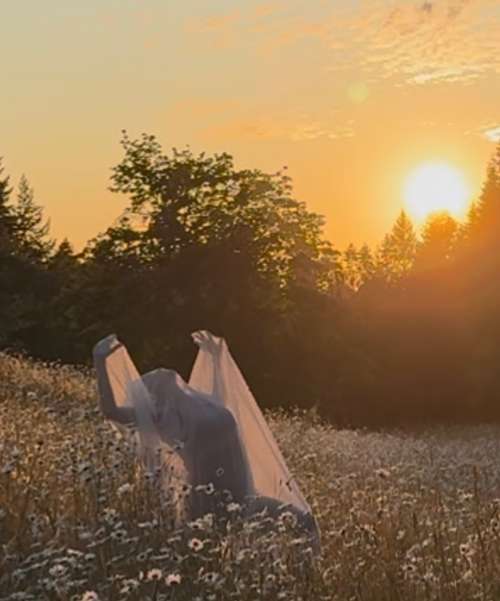 Somatic movement and dance in nature